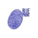 Blue Print